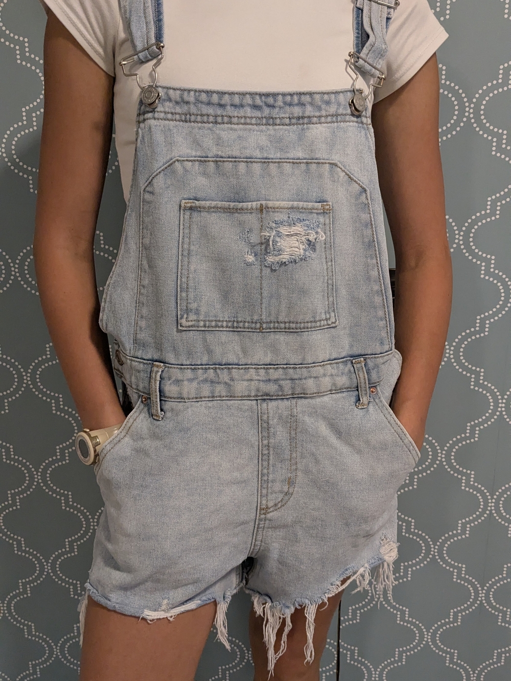 wild fable Light Blue Distressed Denim Short Overalls